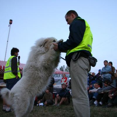 Img 4484