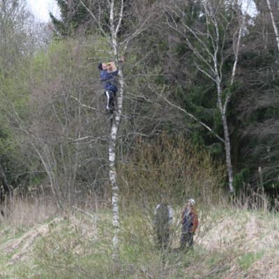 2007 Kuidas Elad Matsalu 100 20170321 2024428755