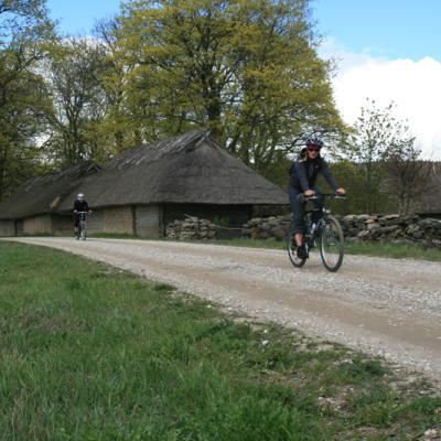 2007 Kuidas Elad Matsalu 46 20170321 1099619583