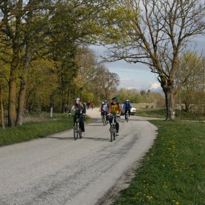 2007 Kuidas Elad Matsalu 82 20170321 1013554382