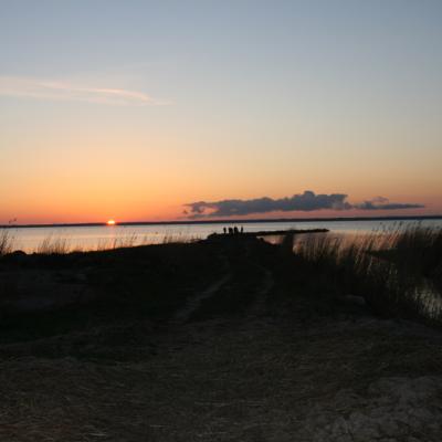 2007 Kuidas Elad Matsalu 92 20170321 1546591746