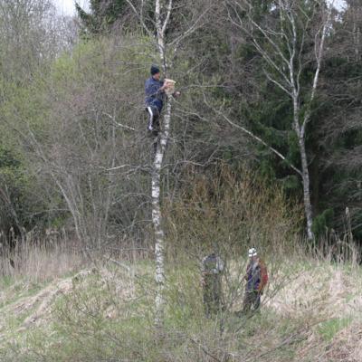 2007 Kuidas Elad Matsalu 99 20170321 1528309443