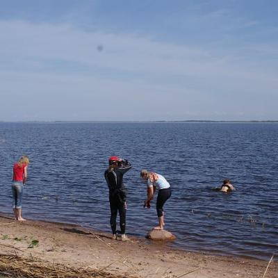 2008 Kuidas Elad Laemmijaerv 1035 20170321 1777074773