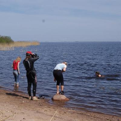 2008 Kuidas Elad Laemmijaerv 1036 20170321 1726100734