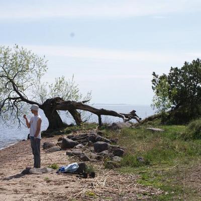 2008 Kuidas Elad Laemmijaerv 1039 20170321 1832584678