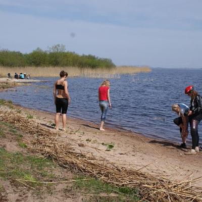 2008 Kuidas Elad Laemmijaerv 1040 20170321 1123668233