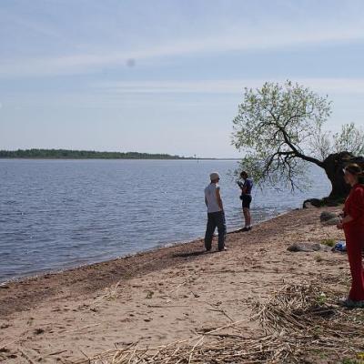 2008 Kuidas Elad Laemmijaerv 1042 20170321 1861260335