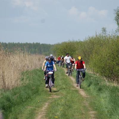 2008 Kuidas Elad Laemmijaerv 1053 20170321 1438220292