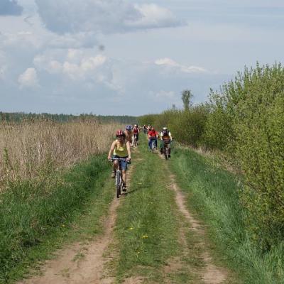 2008 Kuidas Elad Laemmijaerv 1055 20170321 1462770429