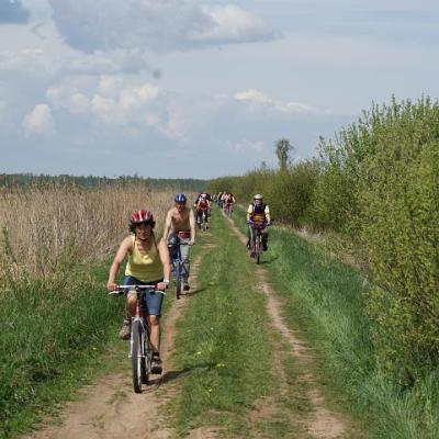 2008 Kuidas Elad Laemmijaerv 1056 20170321 1818935793