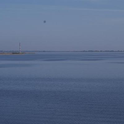 2008 Kuidas Elad Laemmijaerv 1075 20170321 1880723153