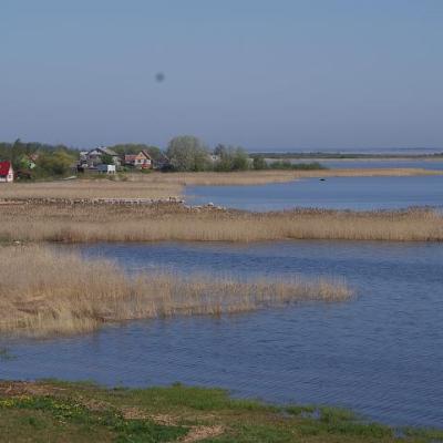 2008 Kuidas Elad Laemmijaerv 1076 20170321 1821440665