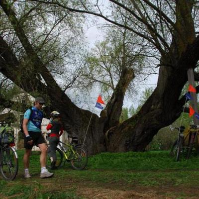 2008 Kuidas Elad Laemmijaerv 153 20170321 1307340026