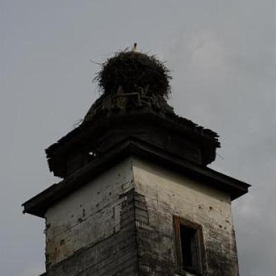 2008 Kuidas Elad Laemmijaerv 158 20170321 1565765753