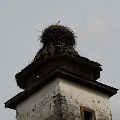 2008 Kuidas Elad Laemmijaerv 160 20170321 2054913446