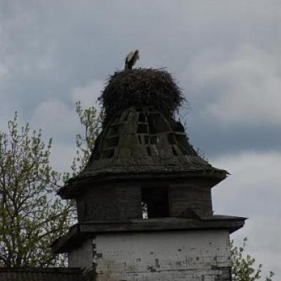 2008 Kuidas Elad Laemmijaerv 169 20170321 1758882675