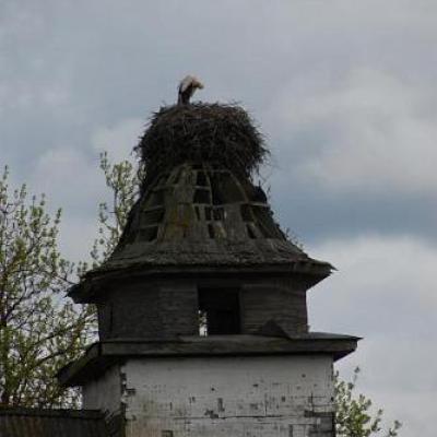 2008 Kuidas Elad Laemmijaerv 170 20170321 1280533147