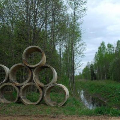 2008 Kuidas Elad Laemmijaerv 183 20170321 1374518259