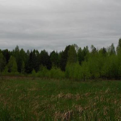 2008 Kuidas Elad Laemmijaerv 186 20170321 1574496217