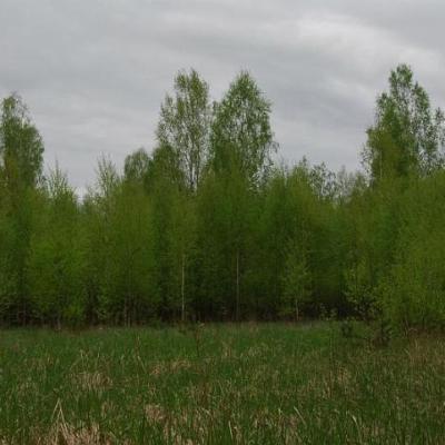 2008 Kuidas Elad Laemmijaerv 187 20170321 1011058910