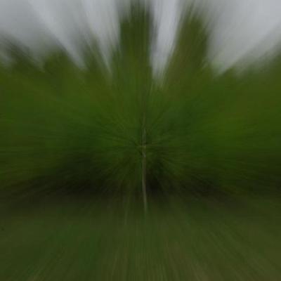 2008 Kuidas Elad Laemmijaerv 192 20170321 1793840799