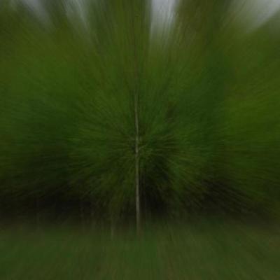 2008 Kuidas Elad Laemmijaerv 193 20170321 1754666513