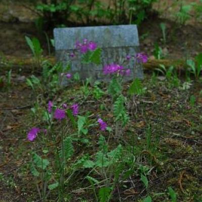 2008 Kuidas Elad Laemmijaerv 197 20170321 1277735993