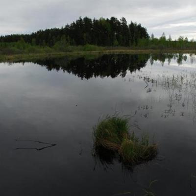 2008 Kuidas Elad Laemmijaerv 203 20170321 1605663350