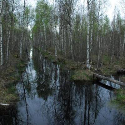 2008 Kuidas Elad Laemmijaerv 213 20170321 1907863274