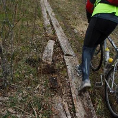 2008 Kuidas Elad Laemmijaerv 220 20170321 1851531657