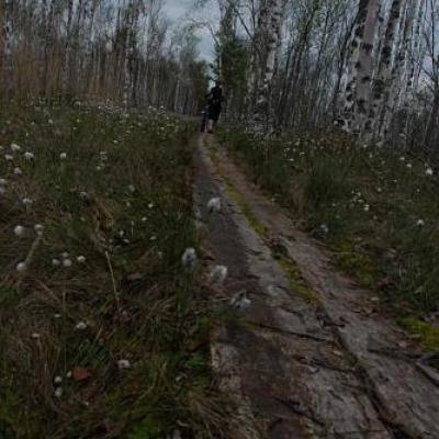 2008 Kuidas Elad Laemmijaerv 221 20170321 1385690181