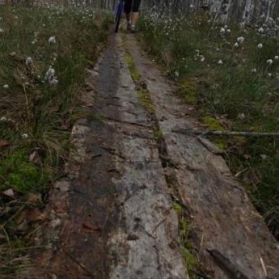 2008 Kuidas Elad Laemmijaerv 222 20170321 1605409526