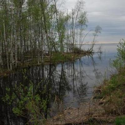 2008 Kuidas Elad Laemmijaerv 229 20170321 1551612274