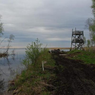 2008 Kuidas Elad Laemmijaerv 230 20170321 1045403113