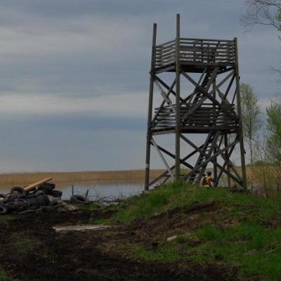 2008 Kuidas Elad Laemmijaerv 231 20170321 1080233793