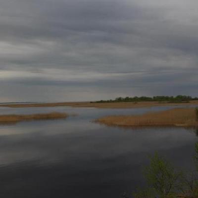 2008 Kuidas Elad Laemmijaerv 233 20170321 1420113278