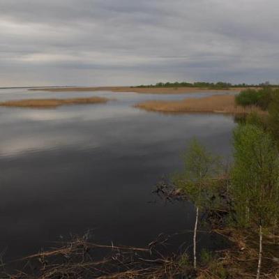 2008 Kuidas Elad Laemmijaerv 234 20170321 2004620780