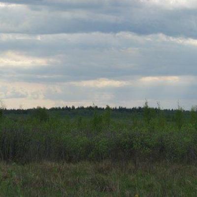 2008 Kuidas Elad Laemmijaerv 24 20170321 1335925636