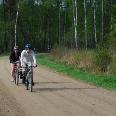 2008 Kuidas Elad Laemmijaerv 279 20170321 1453195127