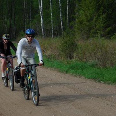 2008 Kuidas Elad Laemmijaerv 280 20170321 1980661556