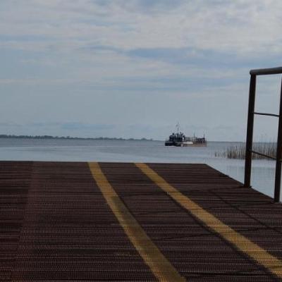 2008 Kuidas Elad Laemmijaerv 281 20170321 1126022369