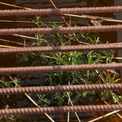 2008 Kuidas Elad Laemmijaerv 290 20170321 1584146598