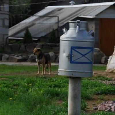 2008 Kuidas Elad Laemmijaerv 294 20170321 1946203667