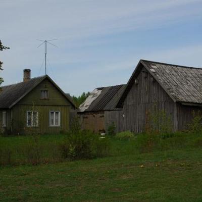 2008 Kuidas Elad Laemmijaerv 303 20170321 1424952364