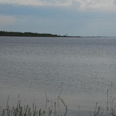 2008 Kuidas Elad Laemmijaerv 311 20170321 1425085873