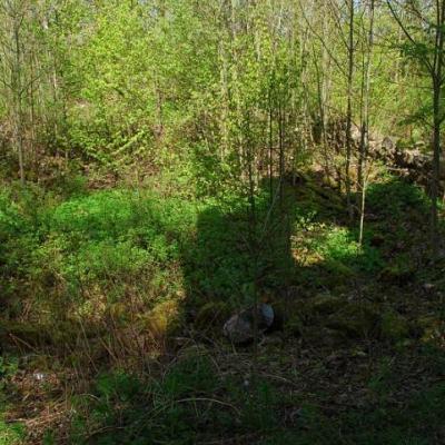 2008 Kuidas Elad Laemmijaerv 357 20170321 1264728432