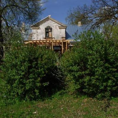 2008 Kuidas Elad Laemmijaerv 367 20170321 1956056493