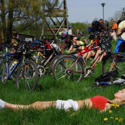 2008 Kuidas Elad Laemmijaerv 376 20170321 1103592260