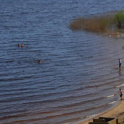 2008 Kuidas Elad Laemmijaerv 379 20170321 1056605964