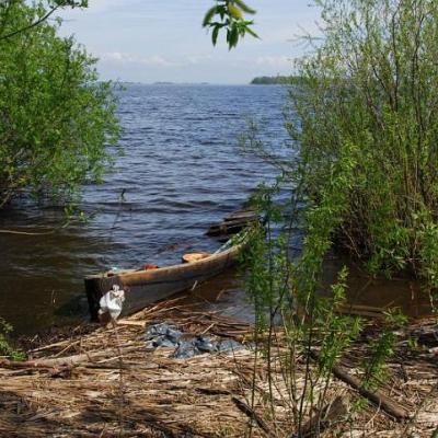 2008 Kuidas Elad Laemmijaerv 382 20170321 1976122083